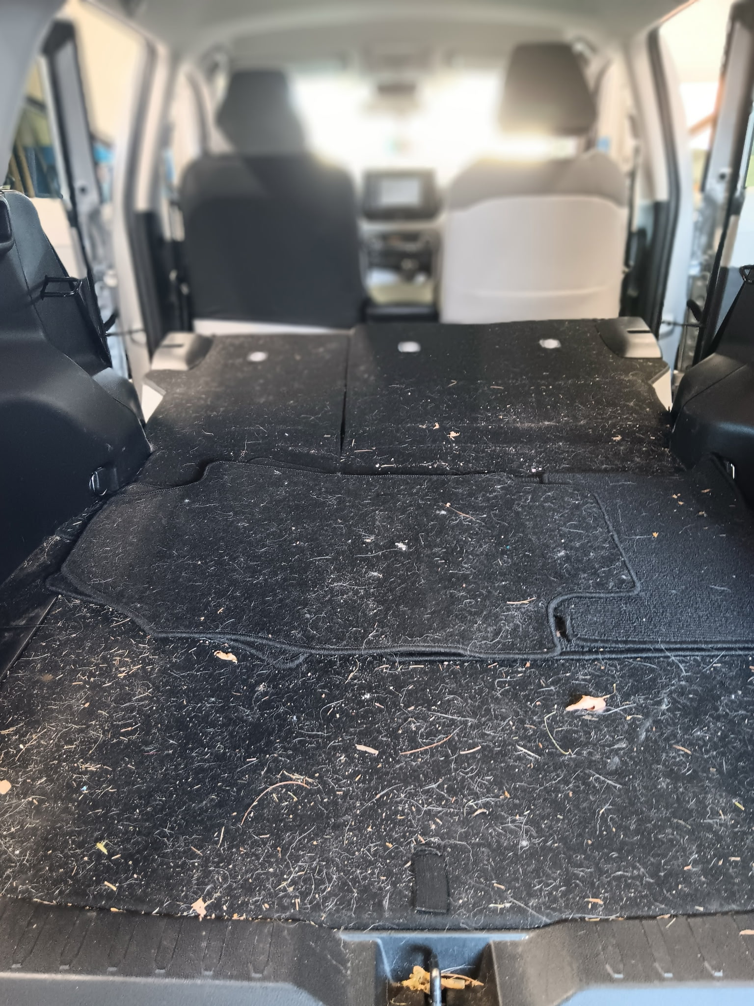 Rav4 Back Seat2 Before