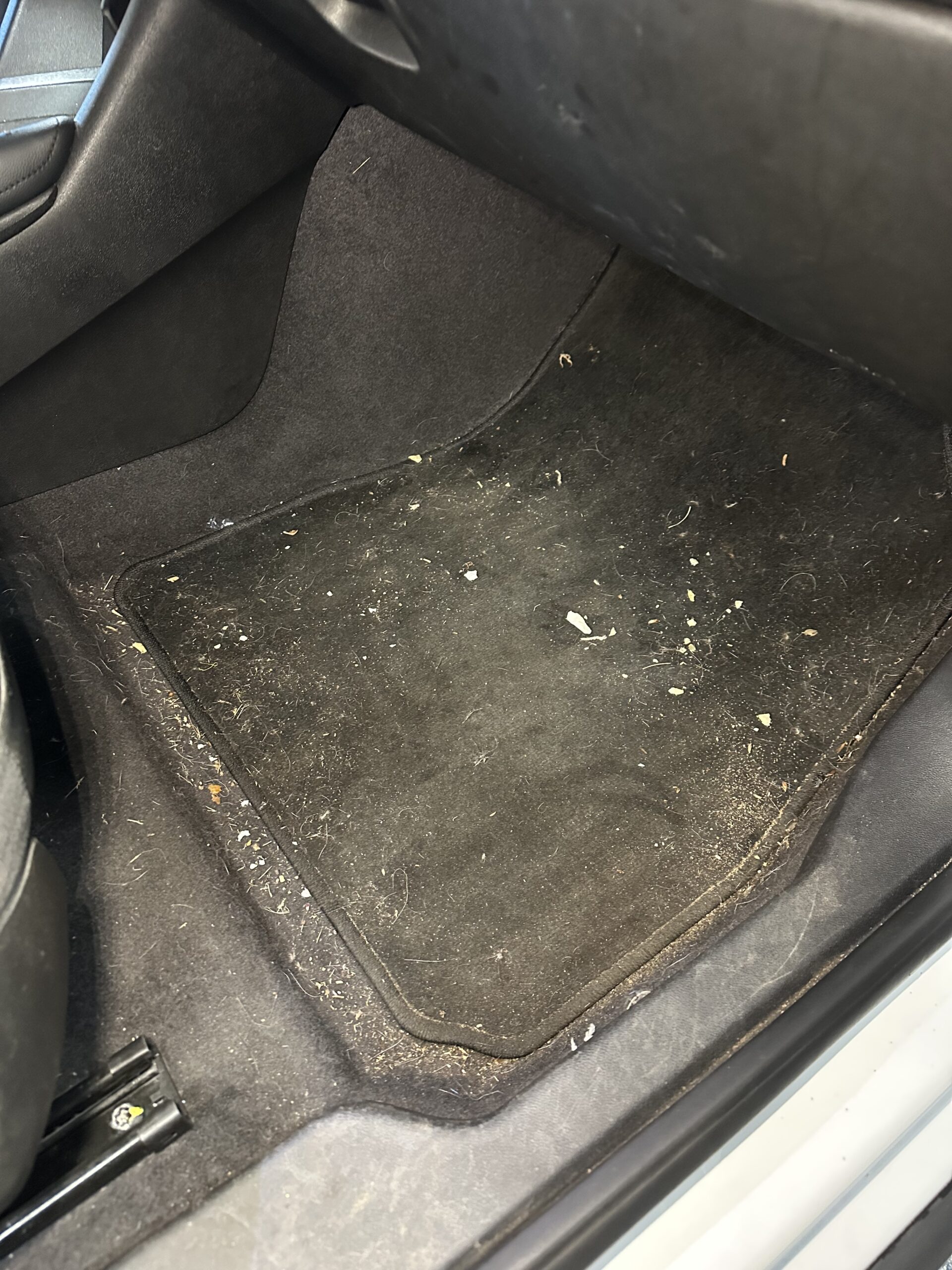 malibu1 passenger before